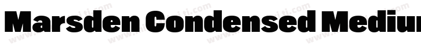 Marsden Condensed Medium字体转换